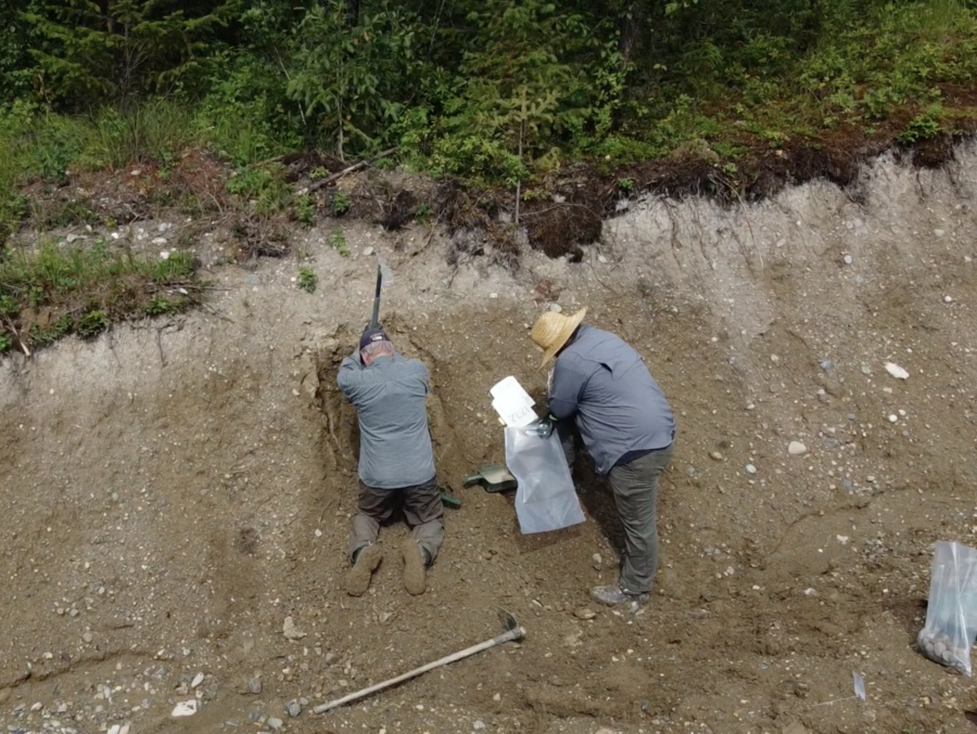 new-geochemical-data-to-support-critical-minerals-exploration-in-british-columbia-interior
