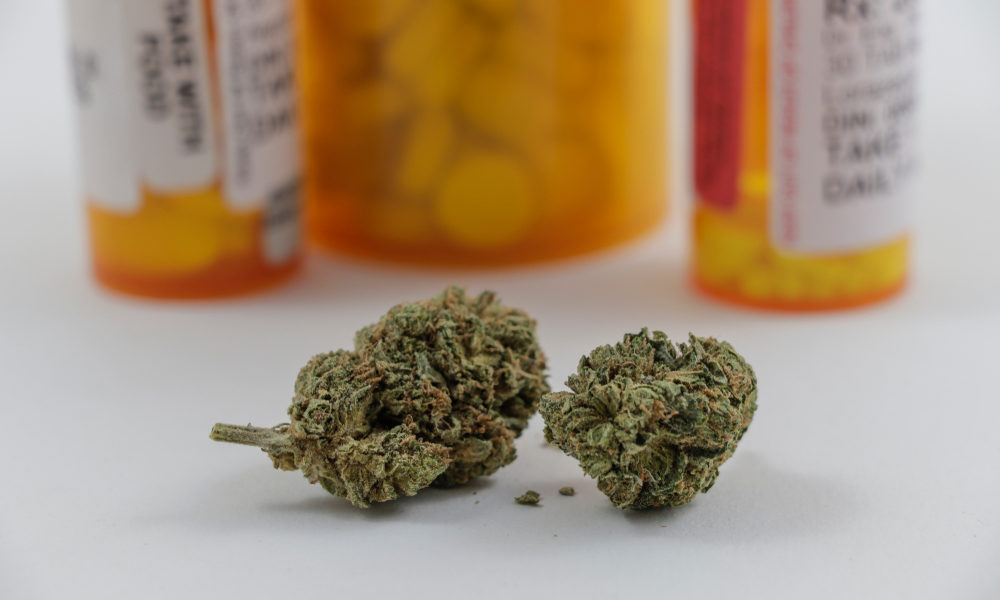 new-study-reveals-states-with-medical-cannabis-programs-have-lower-insurance-premiums