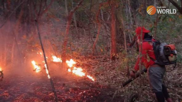 eight-national-parks-and-wildlife-sanctuaries-to-be-closed-due-to-forest-fires
