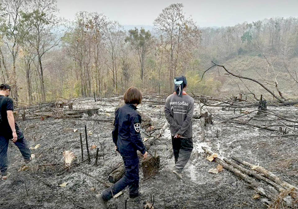 thailand-warns-of-prison-terms-for-forest-fire-starters-–-pattaya-mail