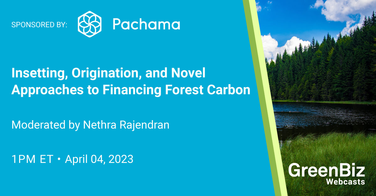 insetting,-origination,-and-novel-approaches-to-financing-forest-carbon-|-greenbiz