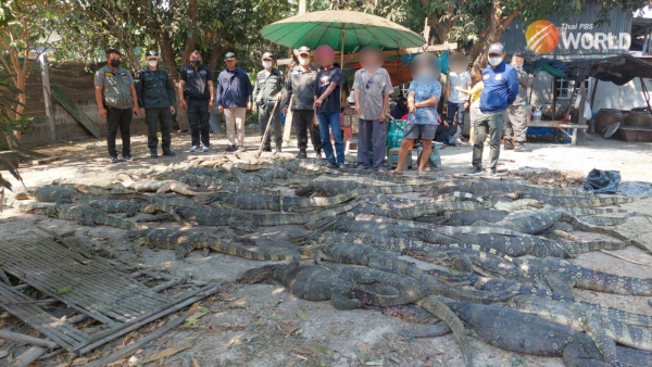 man-arrested-with-30-live-monitor-lizards-and-a-large-quantity-of-reptile-flesh