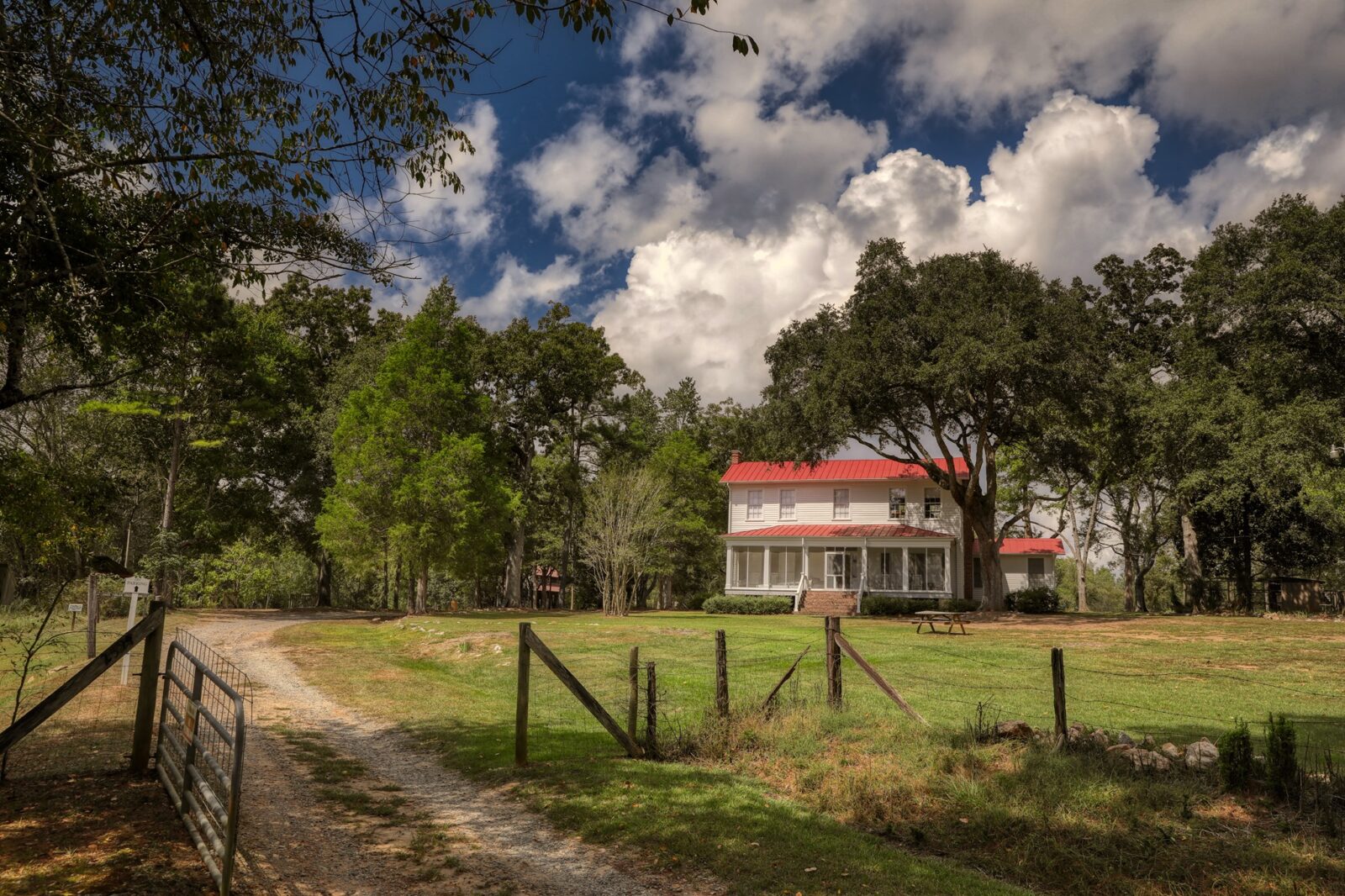 what-can-we-learn-from-flannery-o’connor’s-things?